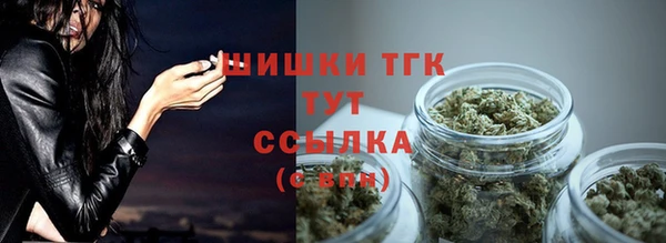 дмт Карпинск