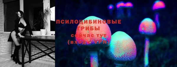 дмт Карпинск