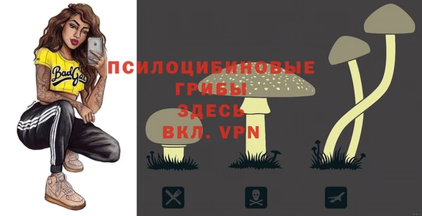 дмт Карпинск