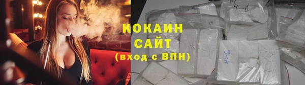 дмт Карпинск