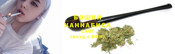 дмт Карпинск