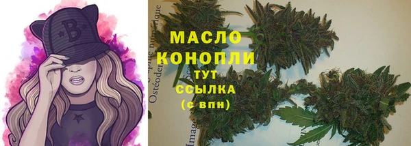 дмт Карпинск