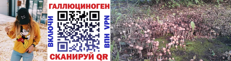 Купить закладки  Жуков  Псилоцибиновые грибы Psilocybe 